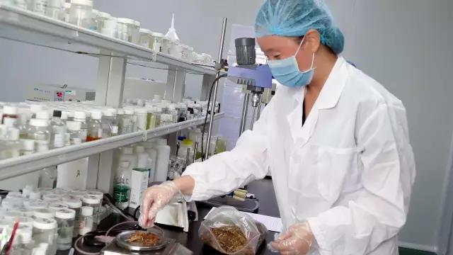 独家探秘丨百莲凯养发产品为何能在水立方发布?